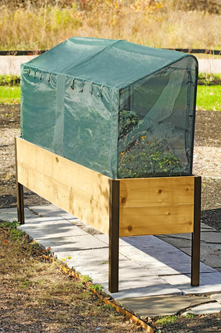  || https://assets.gardeners.com/transform/5b0435d5-7819-44fc-90b7-7bdf8dc4f946/8590159_6512-tif