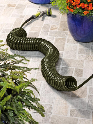  || https://assets.gardeners.com/transform/d23de8e2-f3c5-4bd1-9e03-7873cf005365/8590214MO_107-tif