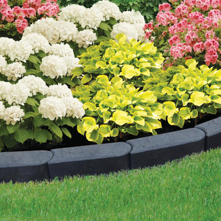  || https://assets.gardeners.com/transform/904231da-1230-485b-a4aa-40bc6577baf2/8590312_002V-tif