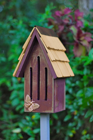  || https://assets.gardeners.com/transform/823a18eb-3303-4b0b-86a0-038cf54f5007/8590369RSN_02V-tif