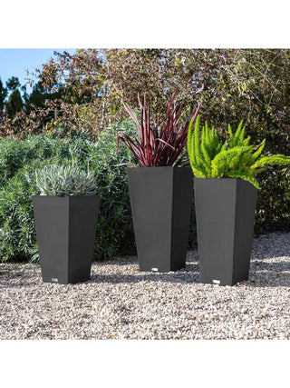  || https://assets.gardeners.com/transform/17488e79-dbed-447c-956f-dfd11873b284/8590505_04V_3-4