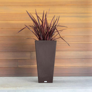  || https://assets.gardeners.com/transform/79a6d14e-45e4-418b-9d31-5adb047210b4/8590506_08V-jpg