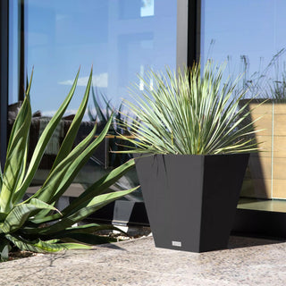  || https://assets.gardeners.com/transform/3287b6a5-3068-4249-85f3-052c028fdaba/8590508_01V-jpg