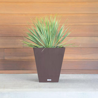  || https://assets.gardeners.com/transform/f41662b2-2352-433c-a3bb-26475451344b/8590508_07V-jpg