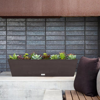  || https://assets.gardeners.com/transform/33ab7a80-8da4-4481-94ef-e53dc123551a/8590509_13V-jpg