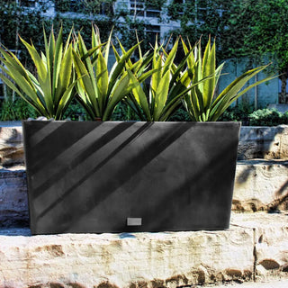  || https://assets.gardeners.com/transform/3c0cc843-b80b-4805-bebb-638fdad26823/8590510_01V-tif