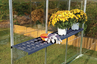  || https://assets.gardeners.com/transform/d3211987-d683-4d7f-af3c-b3eff7eb8282/8591033_05V-tif
