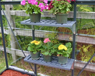  || https://assets.gardeners.com/transform/a6533aec-ac3f-448b-914b-badfb5f16c03/8591033_11V-jpg