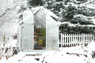  || https://assets.gardeners.com/transform/1df88ee8-709c-4435-8026-8e11cec22365/8591043_01V-tif