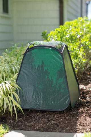  || https://assets.gardeners.com/transform/0480950d-01e9-488c-8ced-1bb247645029/8591267_0004-tif