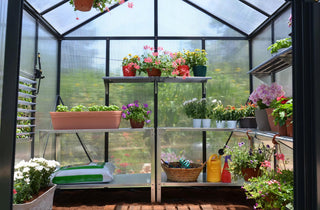  || https://assets.gardeners.com/transform/01d8e529-fb66-4430-b518-bd2673a5a283/8591547_02V-tif
