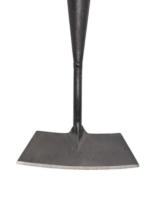  || https://assets.gardeners.com/transform/736de32d-aff5-4613-a4b8-32ef76e3fce8/8592103_1538z-tif