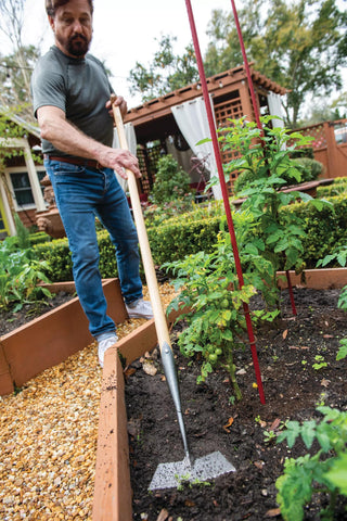  || https://assets.gardeners.com/transform/b96306b7-8ff3-44c9-85ec-b1878e14de70/8592103_2456-tif