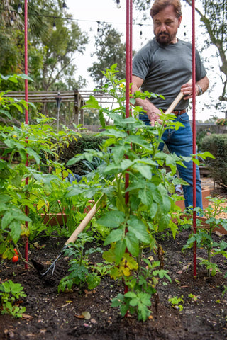  || https://assets.gardeners.com/transform/17462a1c-553a-46a1-8ce3-34390a8fff17/8592107_2481-tif