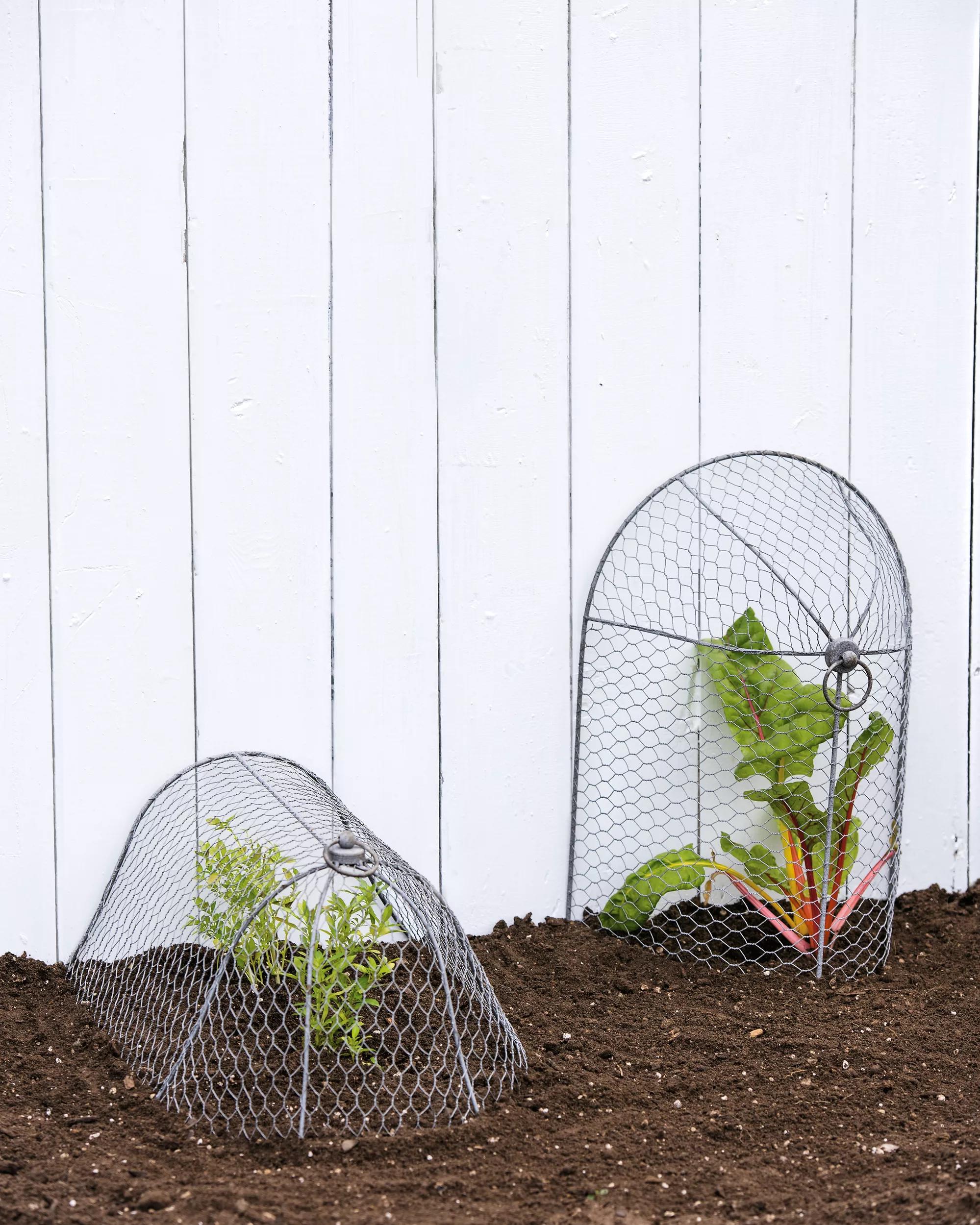 indoor plant protector Chicken Wire Cloche Plant Protector, 3-in-1