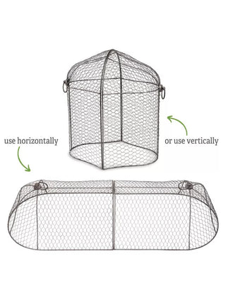  || https://assets.gardeners.com/transform/69dcf910-0aec-4eee-8a12-a018af44f89d/8592117_4