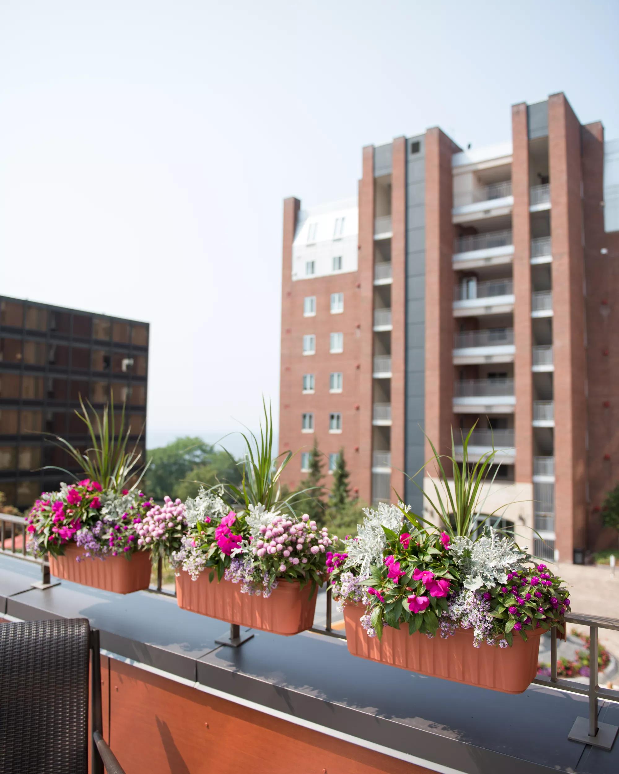 self watering rail planter boxes Railing Planters Accommodate Thick Deck Railings