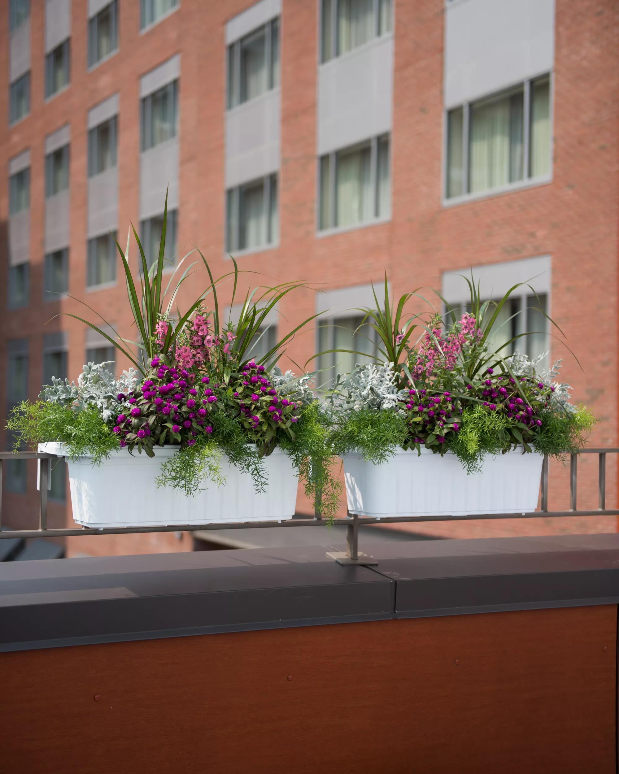 self watering rail planter boxes Adjustable Self-Watering Railing Planter, 24"