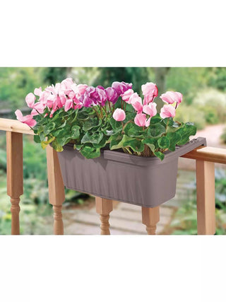  || https://assets.gardeners.com/transform/a88ef7cc-5837-4ebe-888c-402145a4c98e/8592173_02V_3-4