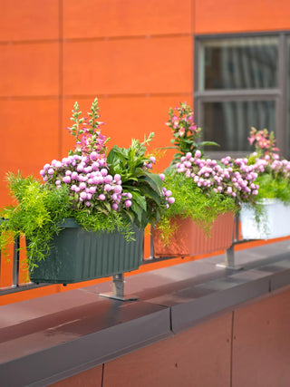  || https://assets.gardeners.com/transform/0aa2c8f4-86ca-4ee6-bd2f-bff76593f4d1/8592173_2398_001E-tif