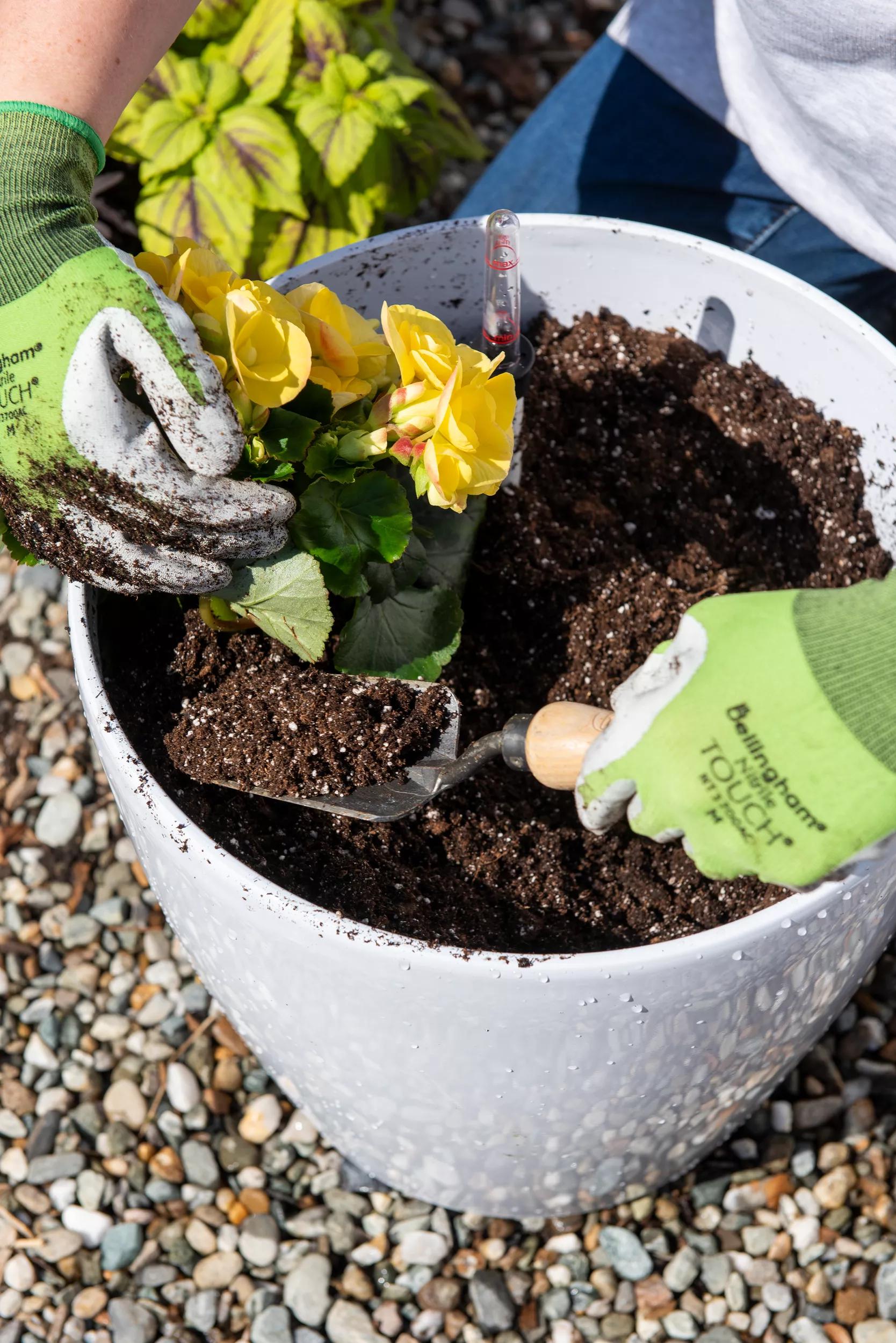 daltons potting mix Self-Watering Potting Soil Mix with Root Booster