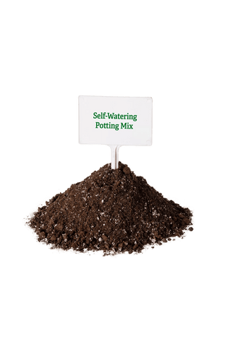  || https://assets.gardeners.com/transform/a30129a8-a2d3-43fc-869d-e142e13e01ae/8592210_7788