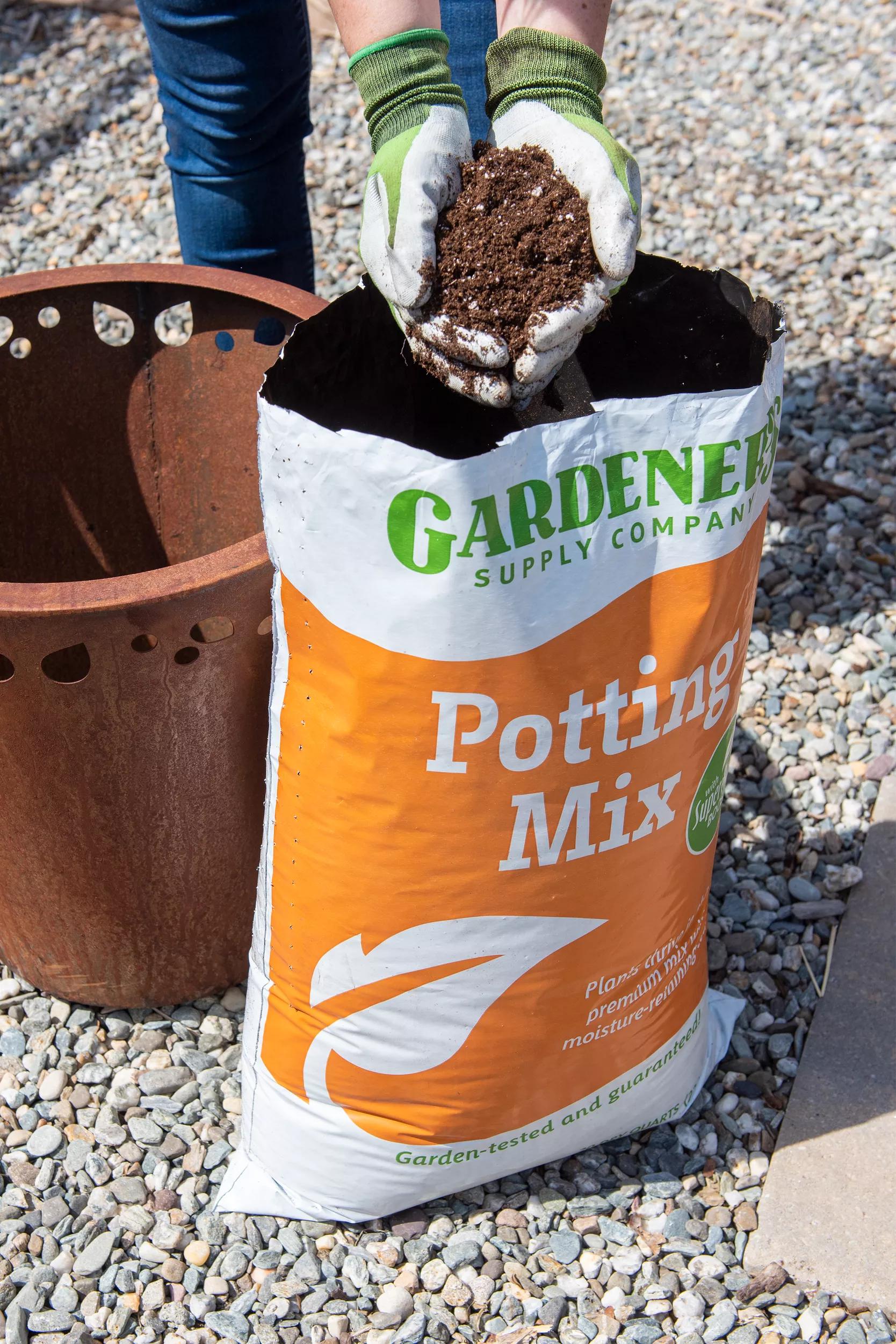 potting mix safety Our Best Potting Soil Mix with Mycorrhizae