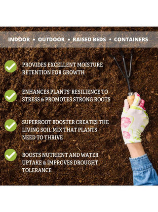  || https://assets.gardeners.com/transform/28fcfed9-b0c8-4f3c-b535-9e133ab89485/8592211_3