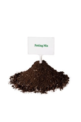  || https://assets.gardeners.com/transform/93604f3e-96e9-4151-ad35-7566bcd0b756/8592211_7786