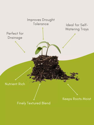  || https://assets.gardeners.com/transform/c253c59f-07da-4f80-8244-301f0cff0724/8592212_3