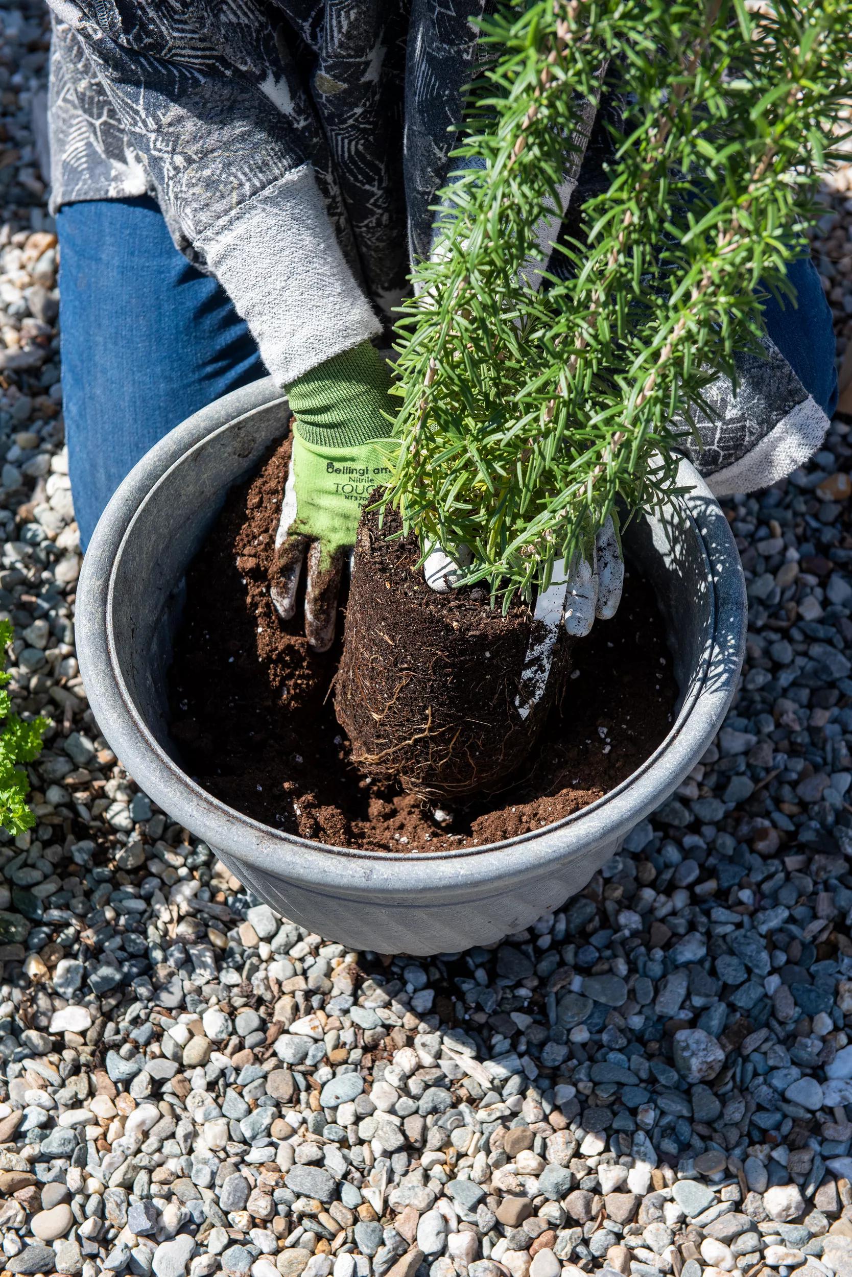 self-watering potting mix 20 qts Organic Self-Watering Potting Mix, 20 Qts