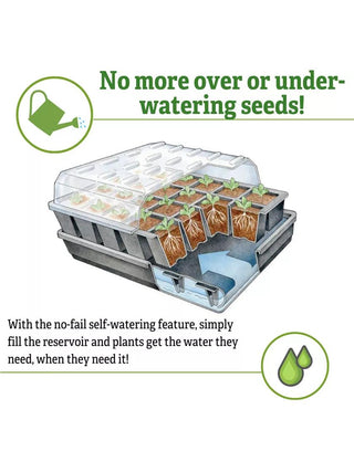  || https://assets.gardeners.com/transform/d937fab9-a7fb-4121-834e-8c8f7ff81a8c/8592393_3