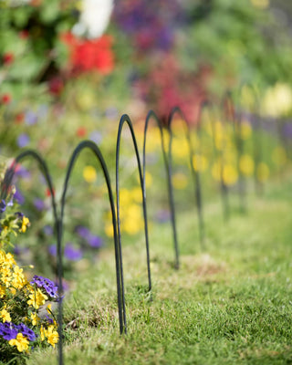  || https://assets.gardeners.com/transform/f40b5c1e-b48b-4602-ac37-765904da746a/8592689_4531-tif