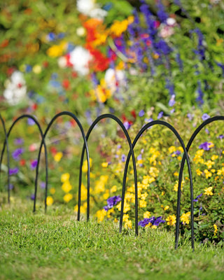  || https://assets.gardeners.com/transform/d36fd13d-36c7-40fc-8b93-145e91e2b8a4/8592689_4538-tif