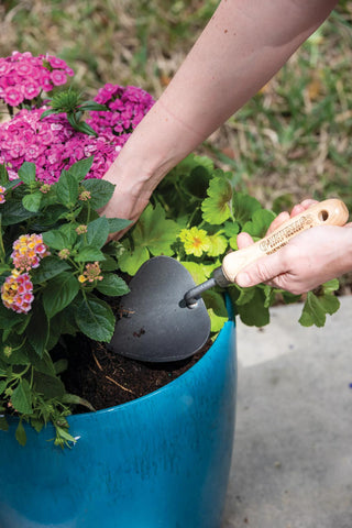  || https://assets.gardeners.com/transform/93a90876-eff4-4409-abf9-1731846fd74c/8592762_3490-tif
