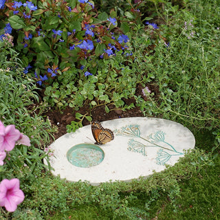 Butterfly Puddling Stone