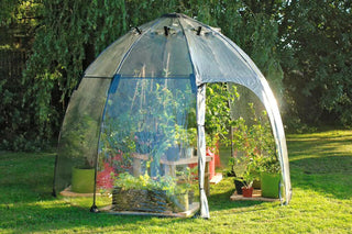  || https://assets.gardeners.com/transform/686c78b6-0fda-41a3-8795-0f1fc0cb2a98/8593335_003V-tif