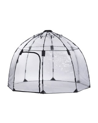 || https://assets.gardeners.com/transform/3efd30c4-faa9-4fcd-88d2-e56465413f09/8593335_01-tif