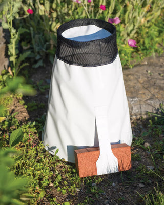  || https://assets.gardeners.com/transform/1eaa1ea6-c31a-4a68-9115-d3e8c9c64e0c/8593415_0528-tif