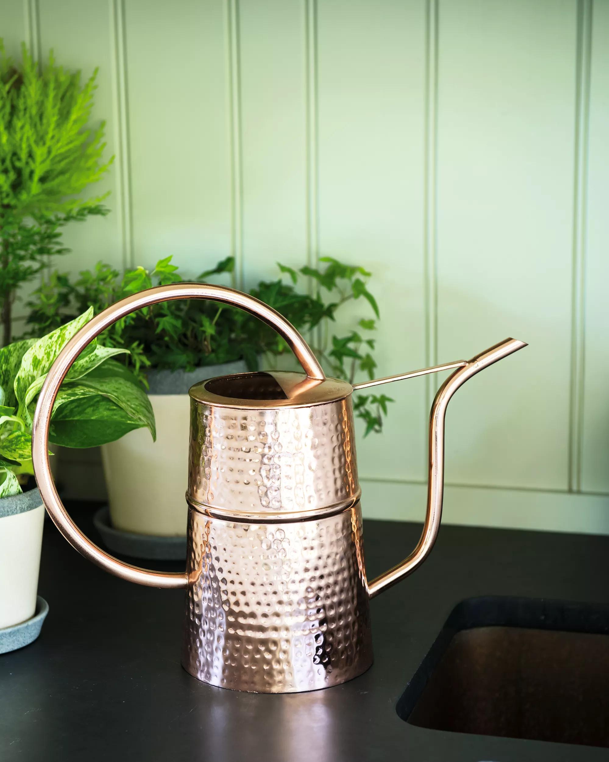 watering indoor potted plants Copper Watering Can - Indoor 3 Qt Watering Can