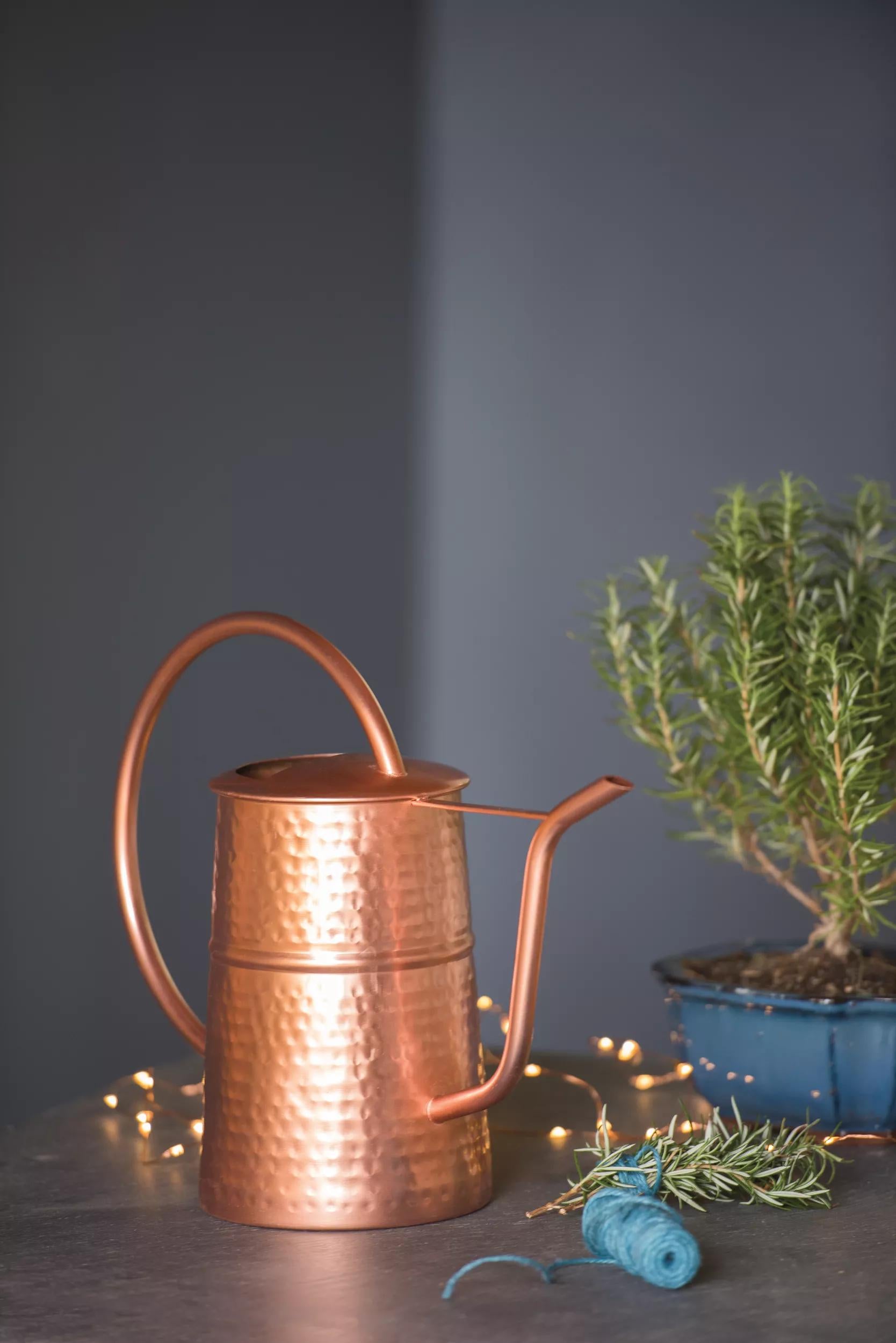 indoor watering cans for plants Copper Watering Can - Indoor 3 Qt Watering Can