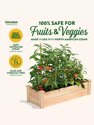  || https://assets.gardeners.com/transform/d3114488-5965-4e7e-9748-ec65c5b99938/8593765_01V_3-4