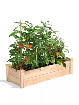  || https://assets.gardeners.com/transform/8aa8c737-25cf-4965-9125-3bbdd0005ac8/8593765_07V_3-4