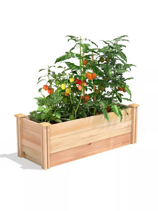  || https://assets.gardeners.com/transform/424e17cf-e15c-4fe1-9090-0660c2efb785/8593788_02V_3-4
