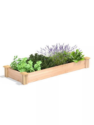  || https://assets.gardeners.com/transform/24d4e293-2318-4b35-aa79-4896268d8f5a/8593802_02V_3-4