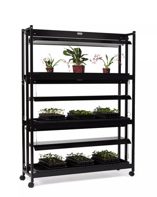  || https://assets.gardeners.com/transform/f84881a4-ded7-4dd6-819a-7898a16f7afe/8593944_1608-tif
