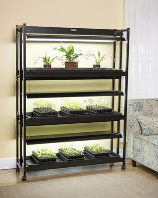 || https://assets.gardeners.com/transform/18e9dce9-2dfb-4961-a7f8-2951cfb2ab1f/8593944_1773_3-tier-high-intensity-grow-lights-tif