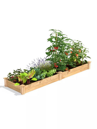  || https://assets.gardeners.com/transform/88cf0bf2-117e-4da6-ab5d-5e2b4669e0a4/8593975_02V_3-4