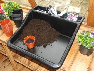  || https://assets.gardeners.com/transform/41dd3051-f350-4065-9d78-a412528df30d/8593982_001V-tif