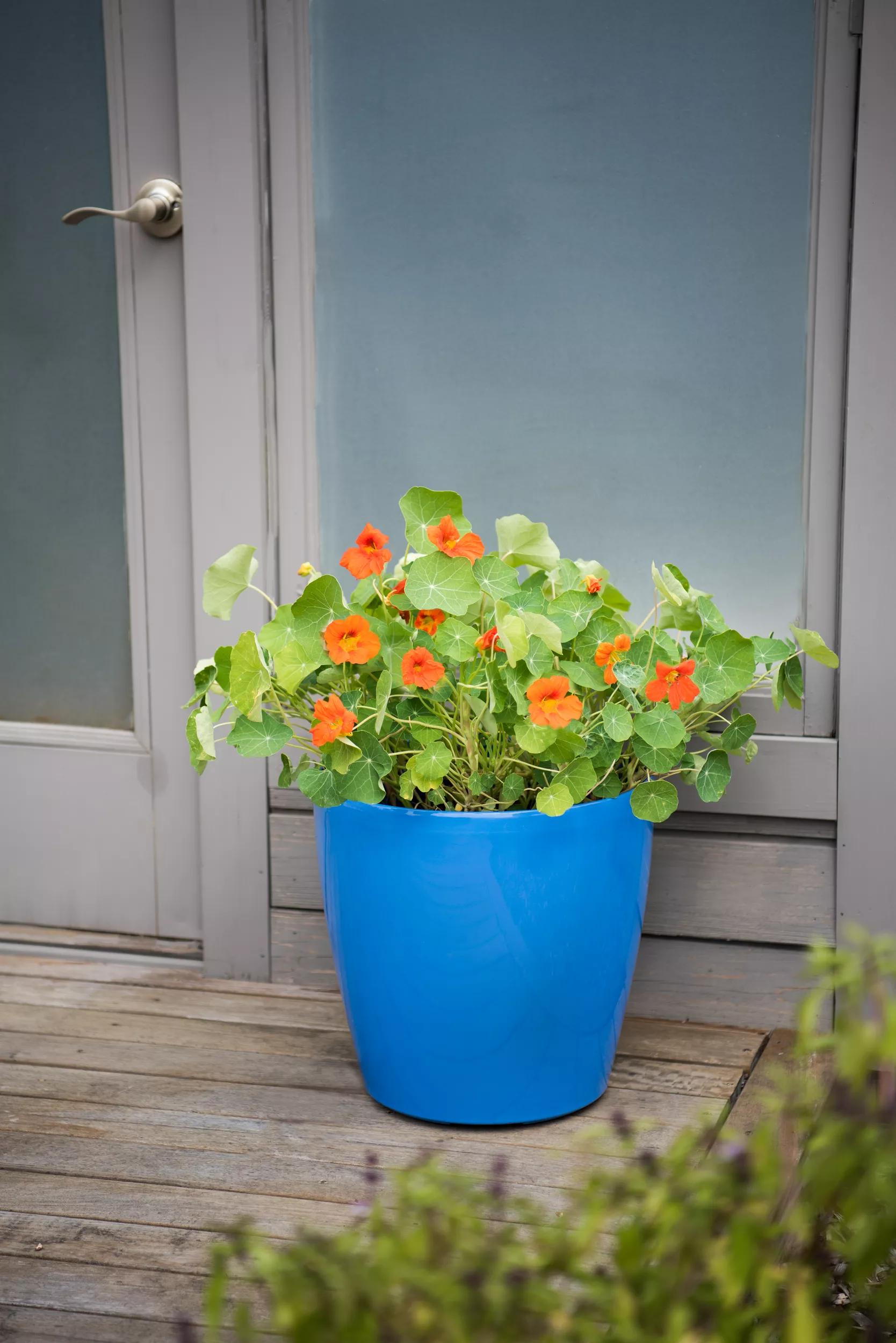 plant pot casters Viva Round Self-Watering Rolling Planter, 17.25 Diameter